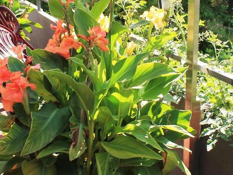 5229C41A026DDC0C38A02EBC77D59F07