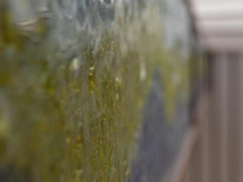 AC068D80336EFB7375E4EB93EFB77219