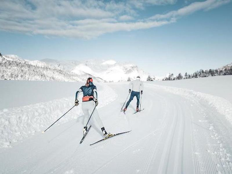 56A706F1524BDA1D37D287F1315F28B9