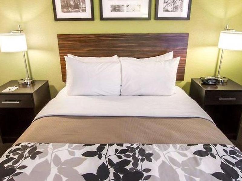 E8DBA704F1B88C375D6A8C57B7B12D39