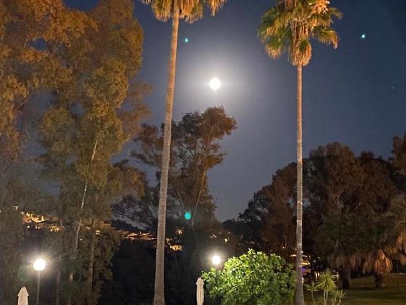 0BE6455BFA3066220F5A293685283B38