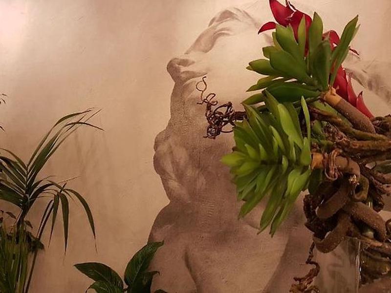 808FE256FA82A4D15EC729A669C00431