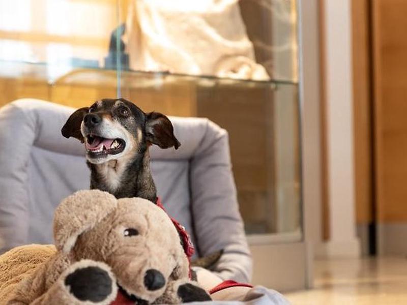 1AF5ECE2EEEF7405B8DEB8D3B592A02E