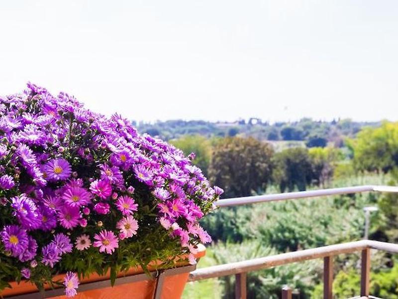 F8F7F218924EBDADF52AD27758AD9F3E