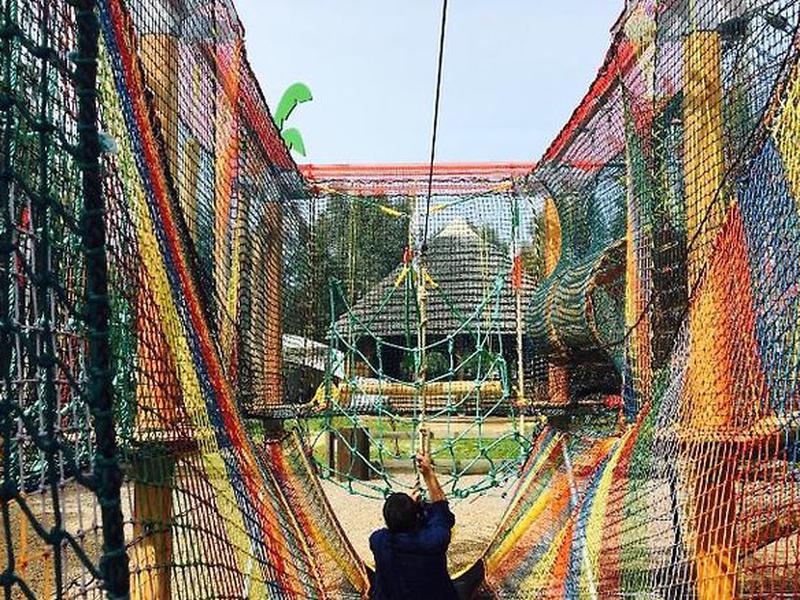 D3E145D199F84DC5220E7E488327138C