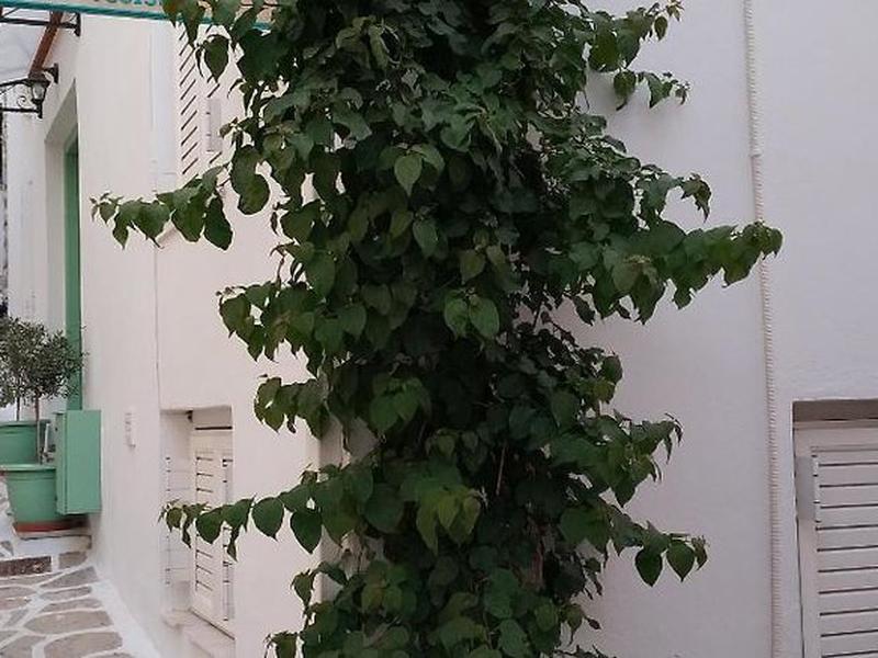 BBF574A9973C055C7080AA8F43EDD18D