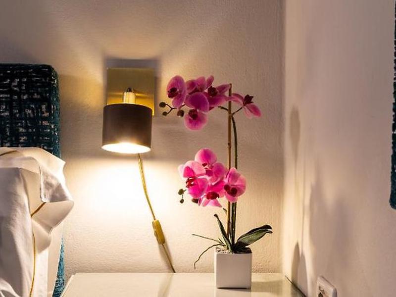 C1A507686635D27250ECC573502E6842