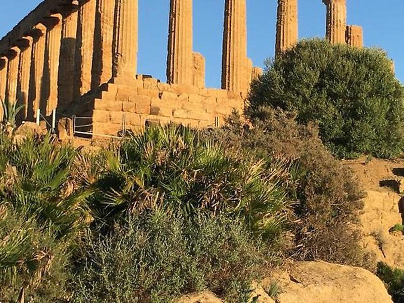 DEC41C6419D194EEFB3121537B150D49