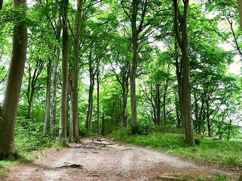 2E65EB4925886E7379D101CAAB032008