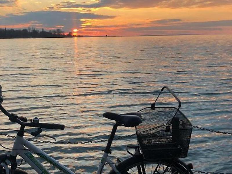 252ABF9B7510D9032F848C96BFB64454