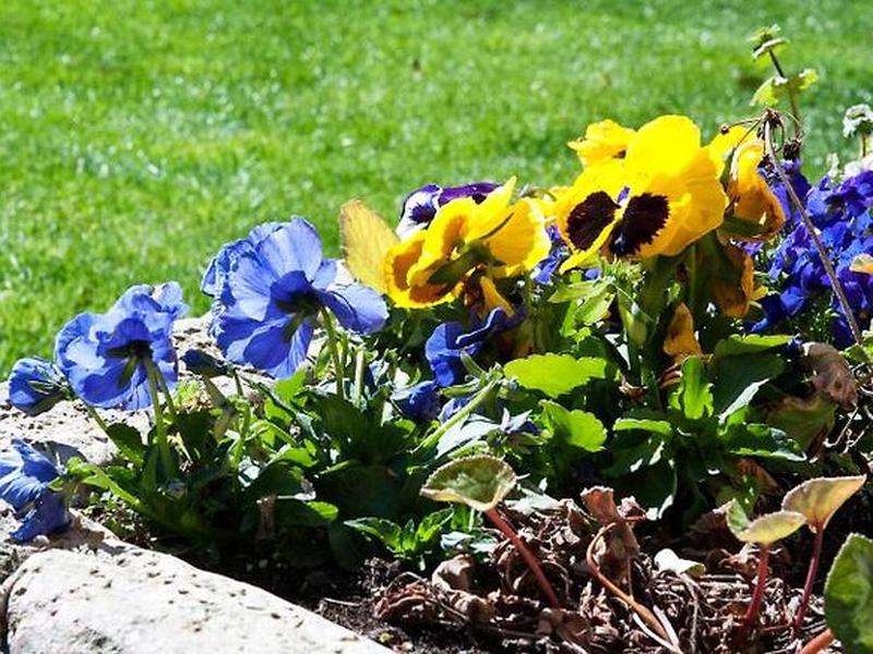 D51B3911976956019C72FD15C6E83AE0