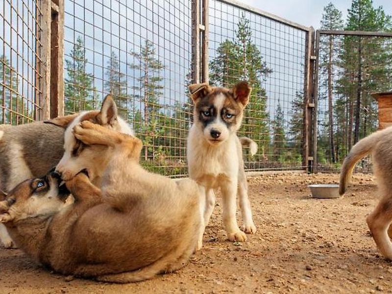 A740DCFB145DB5A52DC67D597BDA5D39