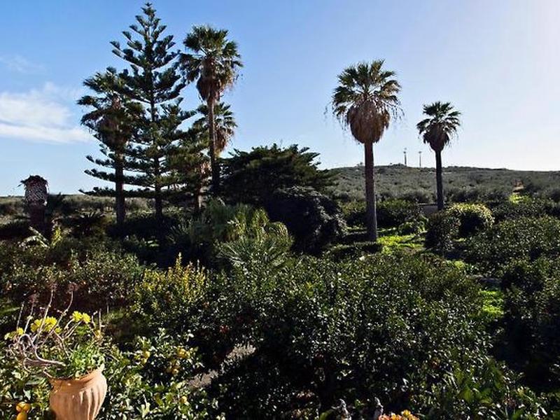 AAD92A8B5DE185B0A55A9207A4FCDCA7