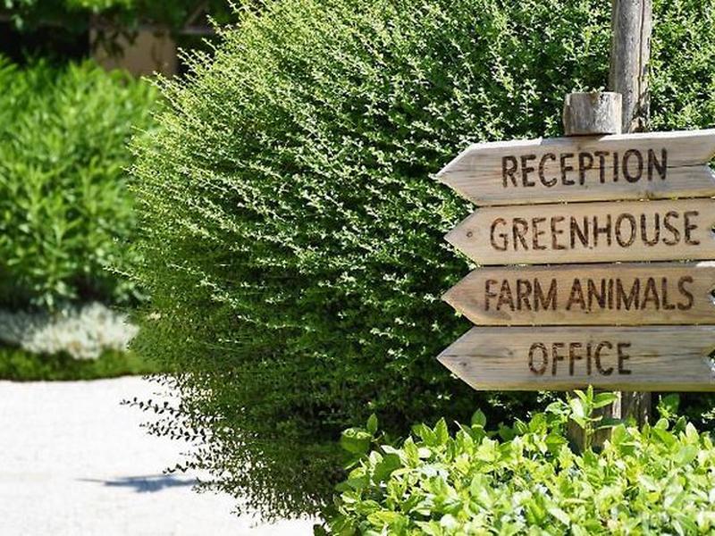 9ABED5EC00CB0B2FEA531ACDCCFA260C