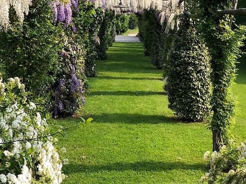 59530AFB138E94003547E2AC1A815720