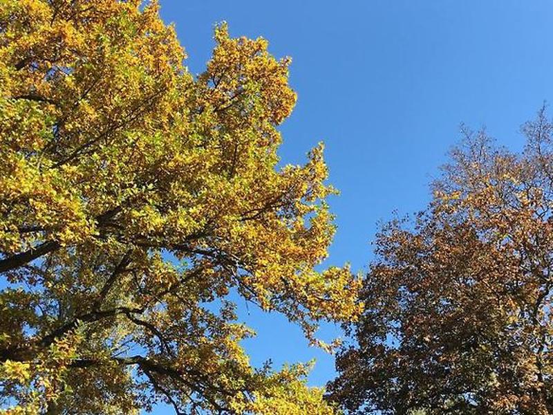 F12E437F26BCD0ADD74D2441CD5584B5