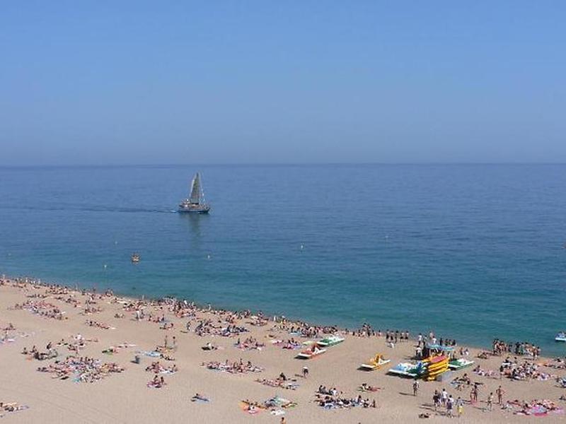 18F9ED5BFC614B1D7462689874FD043D