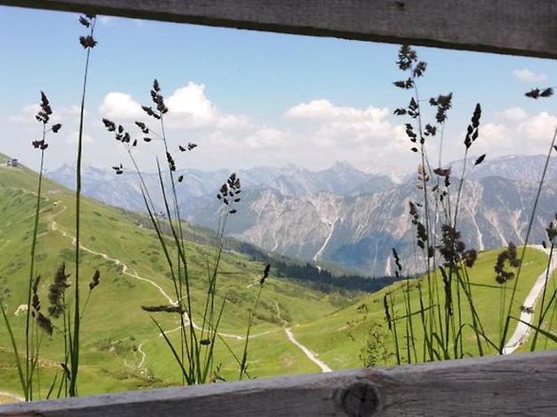 72AB5486FF0E831D4B05CE6BBC59B7DC