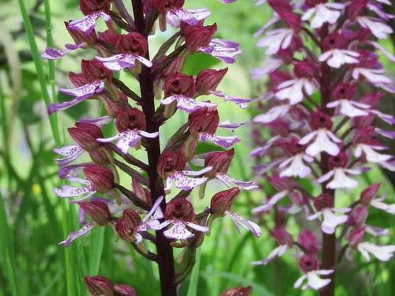 A9B508D30E363AADD5E680A0088C8B42