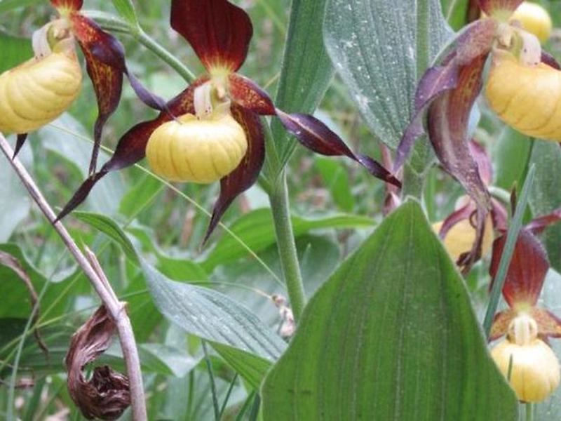 4B0411C1FB9ABD1CF2A698A65A7CE6A3