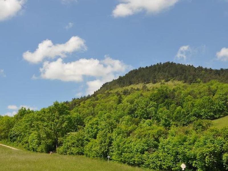 6383BDCC21A79CB0CE1F44E34191803A