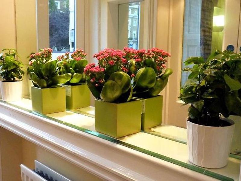 126FDD04C517107FEF91EF4FB7A9AB8D