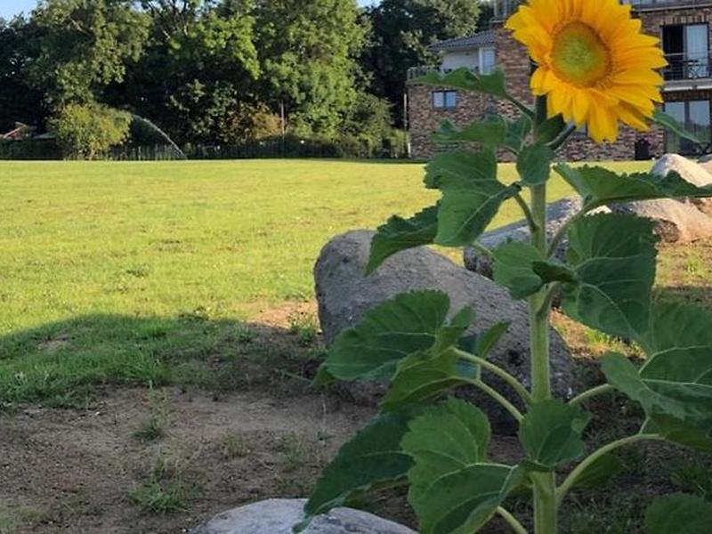 A0106855B9BF91DF823A8C8533E935EA