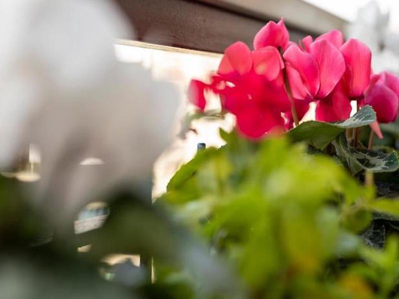 87843F42493D29A071BC20CD945C1FB6