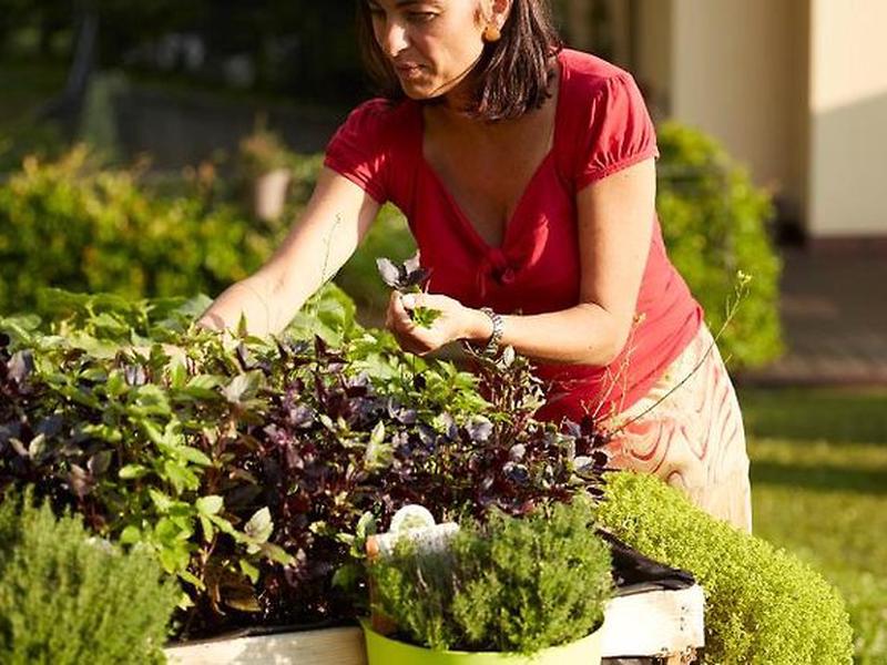 E40F5CF20D6FA3BCA36B8539A5780060