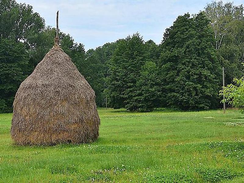 A1FD7657A3B4F797199CF9B26C29ACD0