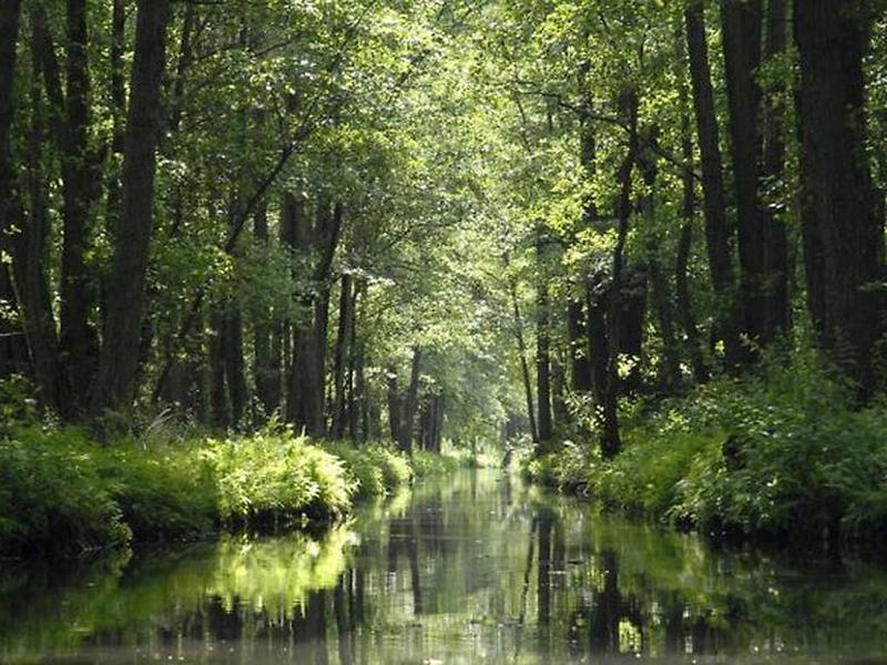 F8691A8278BAC135041154AEA04F9D06