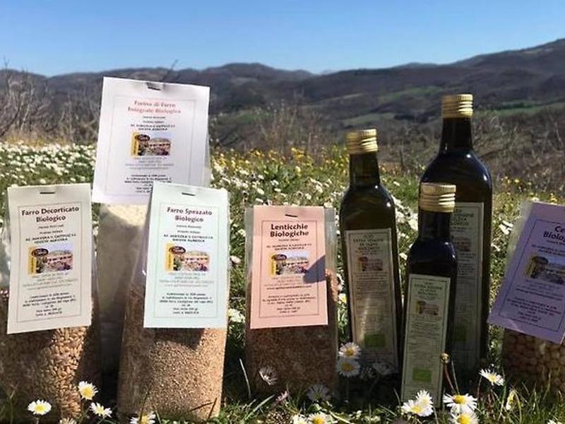 513035D286A946555F81D84B58A53394