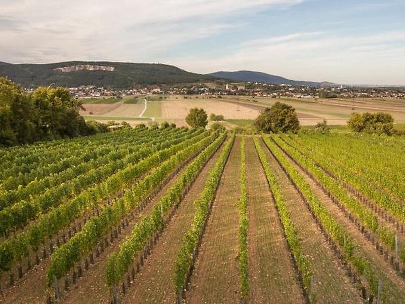 E685420157CF71E553DD134EE1B711A2