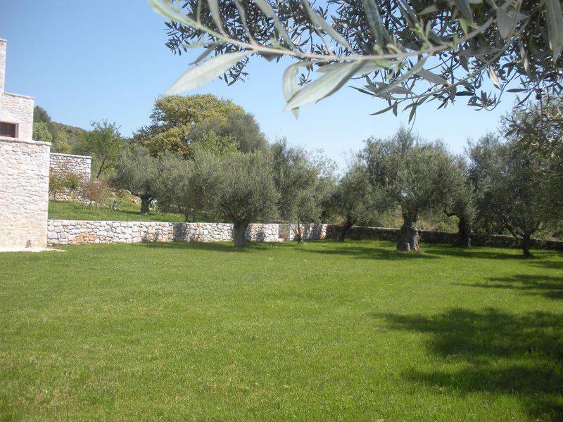 30ED2B35546DA52E01E28907A5792F0E