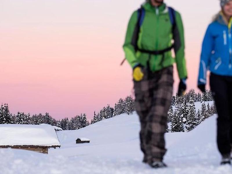 25DC68456FFDB2F6178956F0FEBA30FC