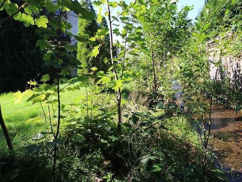 FB33D8E6FF004510AD232910A42949F0