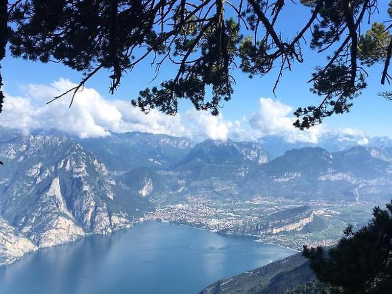 F19FE23A1375961C7BE35B9DB8710953