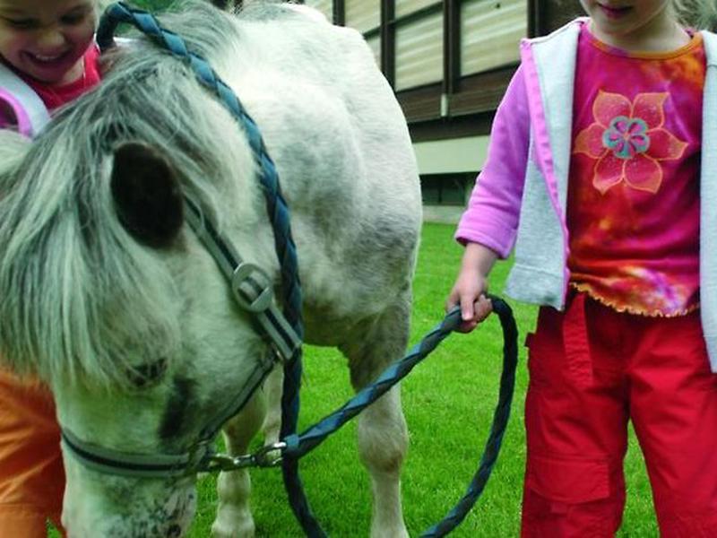 B2C2F6973EA6C3C5E28FFAC35EB9F20B