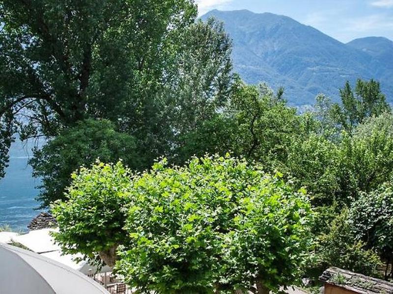 86C760E6F88D18D1233F67C81359DAA8