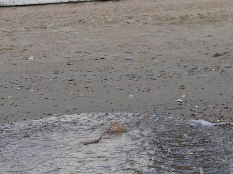 0F83B6C1A387D7209456CAB2A003F85D