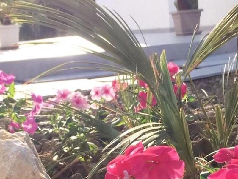 07FDB0D0E7A966135E1023A981BAAB48