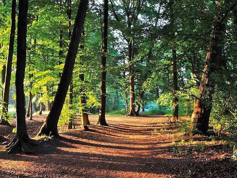 999E01DBCD83E74409A645260AA7F490