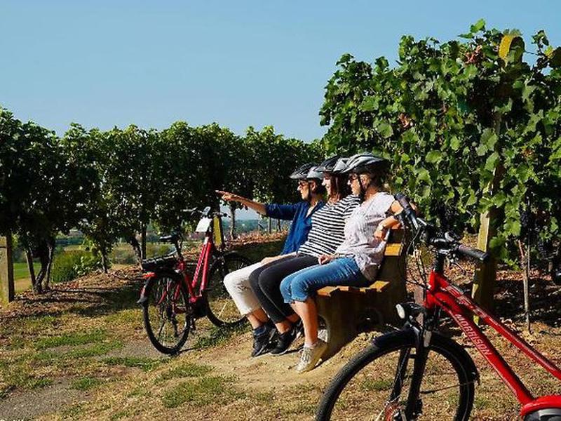 2B81EA4F0B92C659E3074983CA5C8D6C