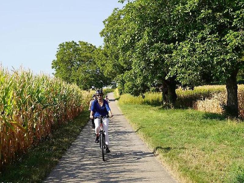 CEAB32B129A0CAC8225B9D2EBF72A626