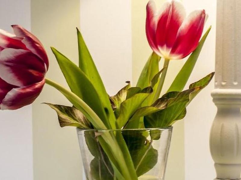 72F1F2BBBA501678BE89EE08340FF9CD