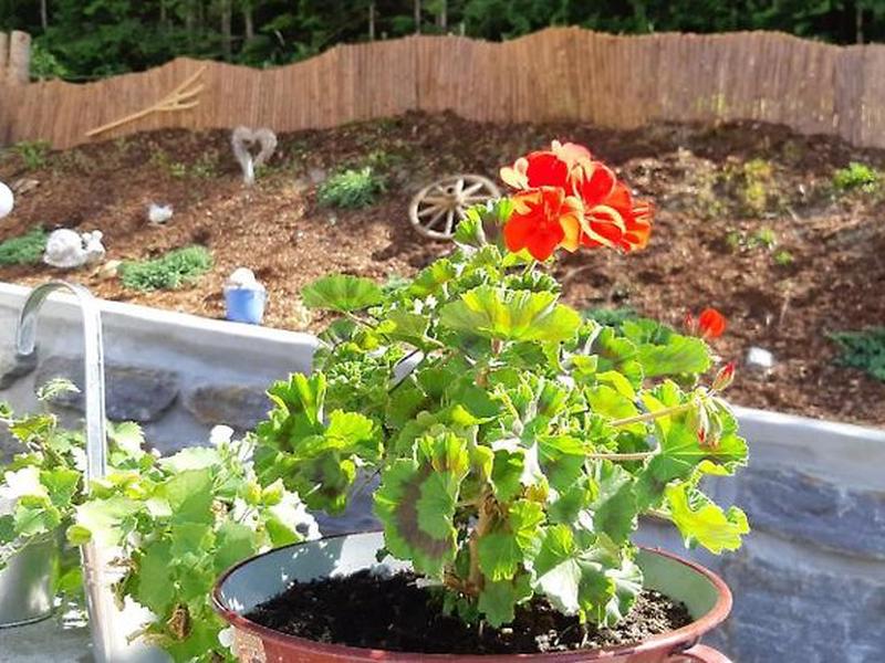 9E3507460D3AB0F40C32F09865BB40F7