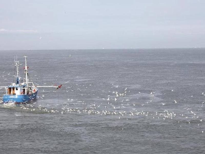 0D1510E31360355FB33EC599DE50BB27