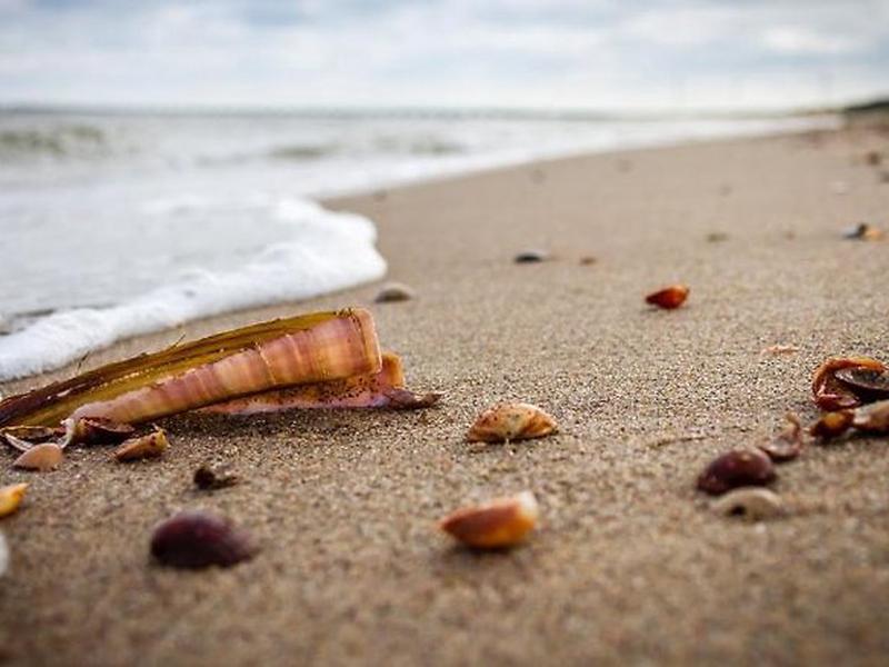 B5D5F01760463A350F993F97010BF5D2