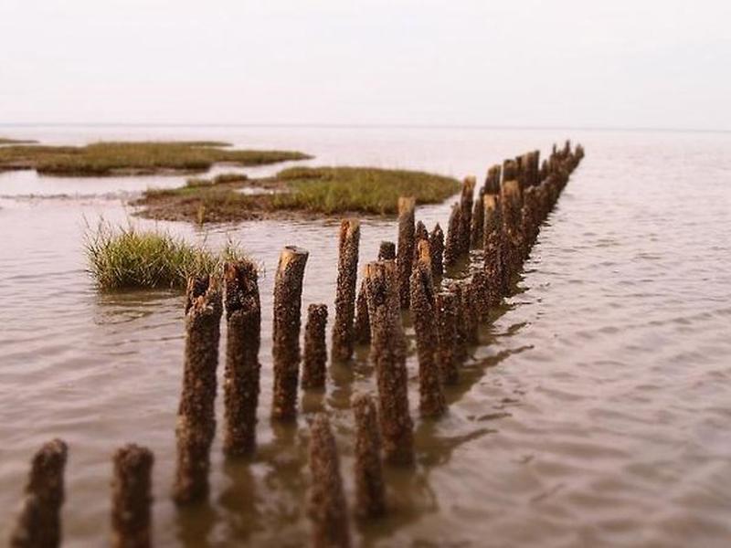 69CD448EB75F0299C027AA1297CD6CB7