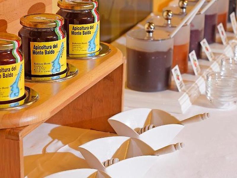 816A234B4A7B1F5E16AD8888E057788C